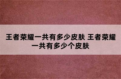 王者荣耀一共有多少皮肤 王者荣耀一共有多少个皮肤